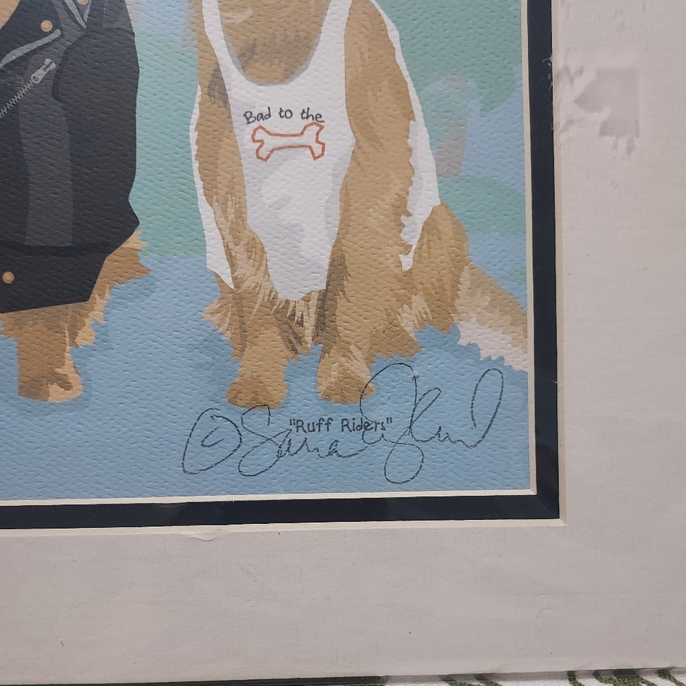 Ruff Riders - Picture 4 of 6